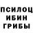 Галлюциногенные грибы Cubensis Shuxrat Zubaydullaev