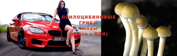 кокаин премиум Белокуриха
