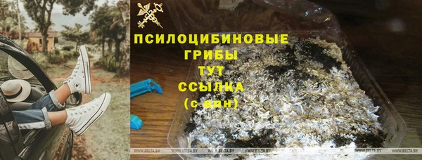 дмт Беломорск