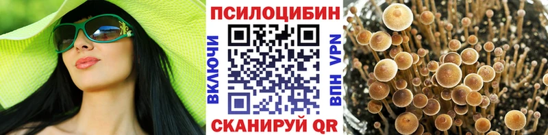 Галлюциногенные грибы Cubensis  Славгород 