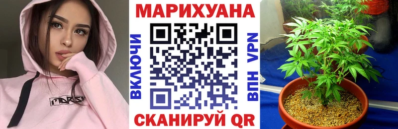 Марихуана OG Kush  даркнет сайт  Славгород 